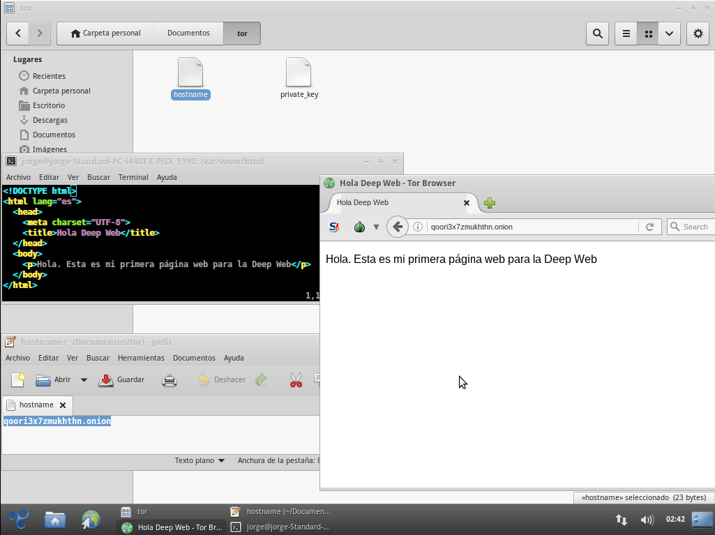 Mi primera página web en la Deep Web
